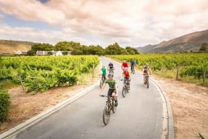 From Cape Town: Winelands Cycling Tour