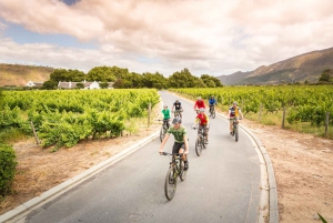 From Cape Town: Winelands Cycling Tour