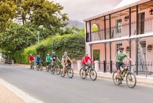 From Cape Town: Winelands Cycling Tour