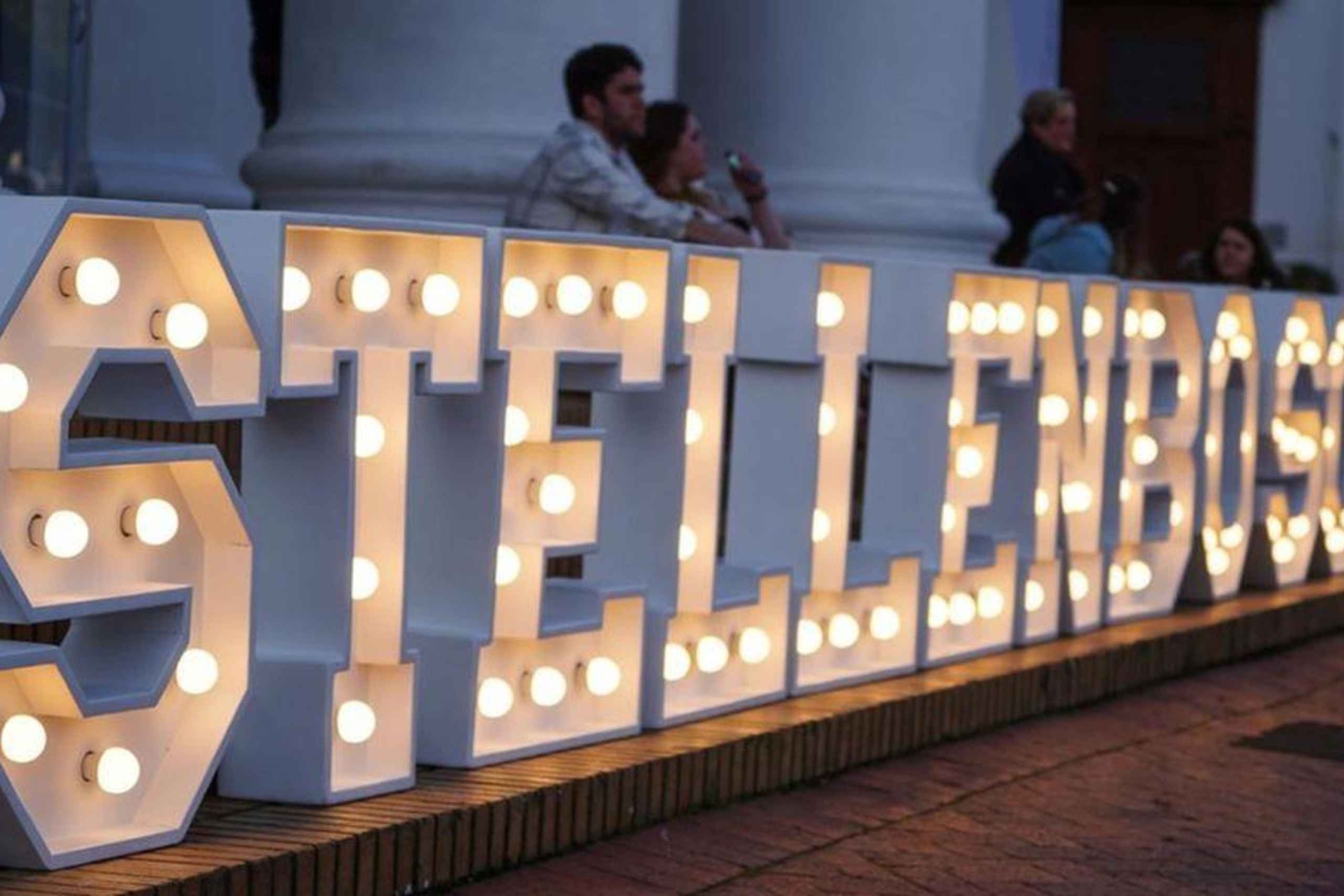 Da Cidade do Cabo: Viagem de um dia às Vinhas com provas de vinho e queijo