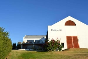 From Cape Town: Winelands Day Trip w/ Wine & Cheese Tastings
