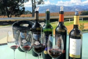 From Cape Town: Winelands Day Trip w/ Wine & Cheese Tastings