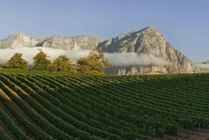 From Cape Town: Winelands Tour and Tastings