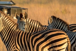 Da Johannesburg: tour via terra di 15 giorni a Città del Capo