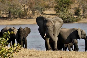 Da Johannesburg: tour via terra di 15 giorni a Città del Capo