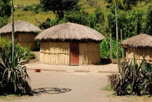 Da Johannesburg: tour via terra di 15 giorni a Città del Capo