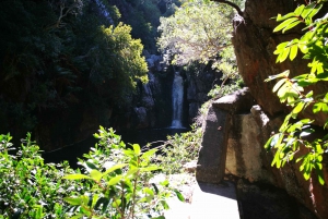 From Stellenbosch: Hermanus Whale Route Tour