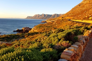 Fra Stellenbosch: Hermanus Whale Route Tour