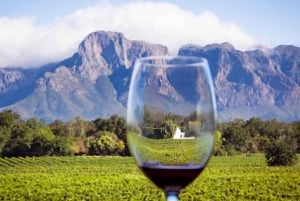 Full Constantia region Wine Tasting Experience