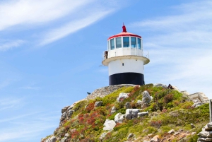 Экскурсия на целый день по полуострову Кейп