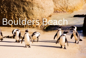 Экскурсия на целый день по полуострову Кейп