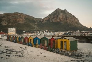 Excursão de 1 dia pela Península do Cabo: Chapman's Peak - Cape Point