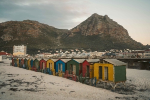 Heldagstur til Kapp-penisulaen: Chapman's Peak - Cape Point