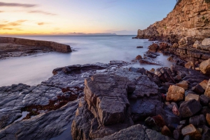 Heldagstur til Kapp-penisulaen: Chapman's Peak - Cape Point