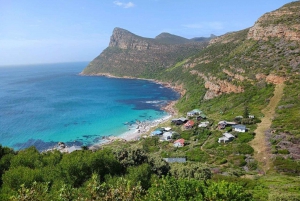 Día completo - Punta del Cabo y Pingüinos más Montaña de la Mesa
