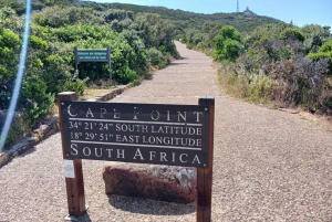 Día completo - Punta del Cabo y Pingüinos más Montaña de la Mesa