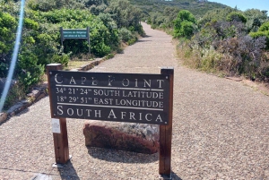 Heldag - Cape Point och pingviner samt Taffelberget