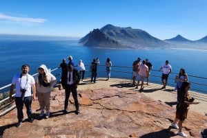 Full Day Cape Town: Cape of Good Hope & Penguins tour