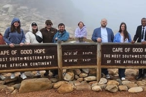 Día completo en Ciudad del Cabo: excursión al Cabo de Buena Esperanza y los Pingüinos