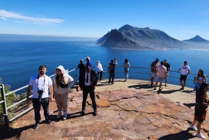 Полный день в Кейптауне: Мыс Доброй Надежды и тур по пингвинам