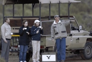 Heldagssafari i Kapstaden