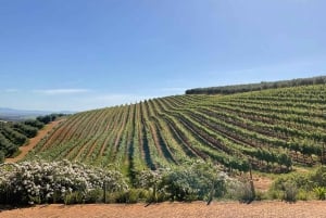 Dagsutflykt till Cape Winelands: Franschhoek & Stellenbosch