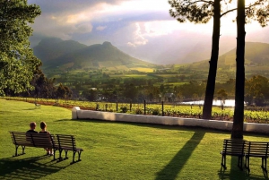 Full-Day Cape Winelands Tour