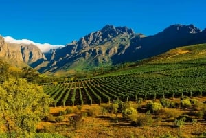 Dagtour door de Kaapse Wijnlanden