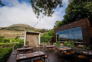 Ganztägige Constantia Weinverkostung und Tafelberg