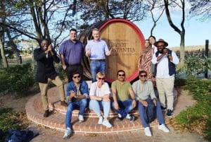 Ganztägige Constantia Weinverkostung und Tafelberg