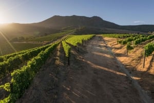 Ganztägige Constantia Weinverkostung und Tafelberg