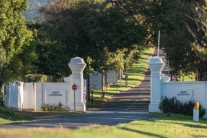 Ganztägige Constantia Weinverkostung und Tafelberg