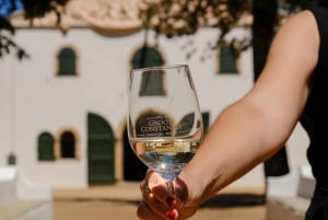 Ganztägige Constantia Weinverkostung und Tafelberg