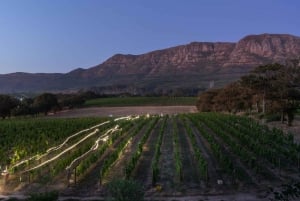 Ganztägige Constantia Weinverkostung und Tafelberg
