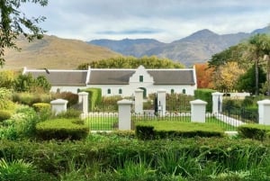 Tour di un giorno a Franschhoek con partenza da Città del Capo