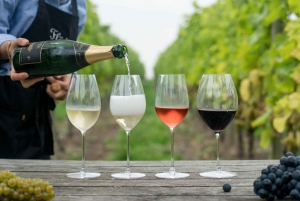 Tour enologico di un giorno a Franschhoek in tram da Città del Capo