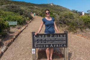 終日プライベートツアー：ケープのベスト