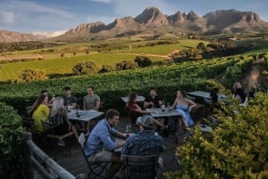 終日プライベートツアー：ケープのベスト