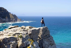 Полный день с частным гидом: лучшее из Кейпа