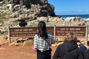 Full Day Private Cape Peninsula and Boulders Beach Tour