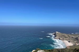 Tour privado de un día por la Península del Cabo y la playa de Boulders