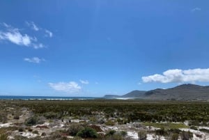 Ganztagestour Private Cape Peninsula and Boulders Beach Tour