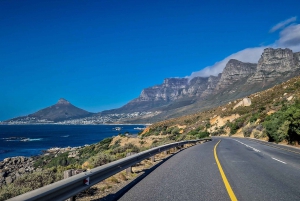 Ganztagestour Private Cape Peninsula and Boulders Beach Tour