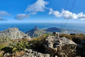 Ganztagestour Private Cape Peninsula and Boulders Beach Tour