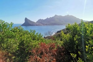 Ganztagestour Private Cape Peninsula and Boulders Beach Tour