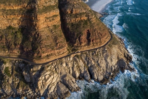 Частный тур на целый день по полуострову Кейп и пляжу Боулдерс