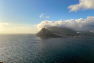 Частный тур на целый день по полуострову Кейп и пляжу Боулдерс