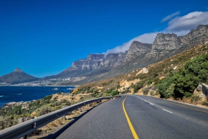 Частный тур на целый день по полуострову Кейп и пляжу Боулдерс