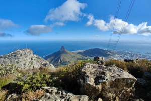 Частный тур на целый день по полуострову Кейп и пляжу Боулдерс