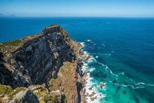 Full Day Cape Peninsula Tour